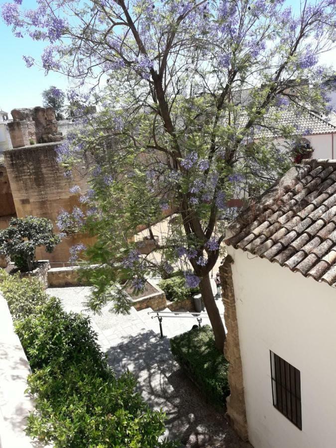 Los Tejares Del Alcazar 科爾多瓦 外观 照片